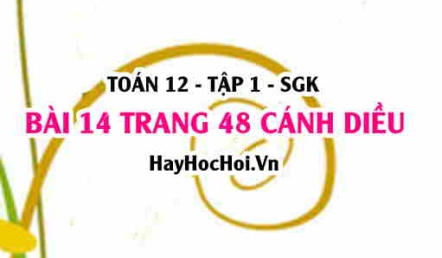 Bài 14 trang 48 Toán 12 tập 1 Cánh Diều